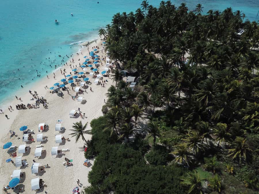 From San Andrés: Speedboat Tour to Johnny Cay Island - A quick boat ride from San Andrés to Johnny Cay