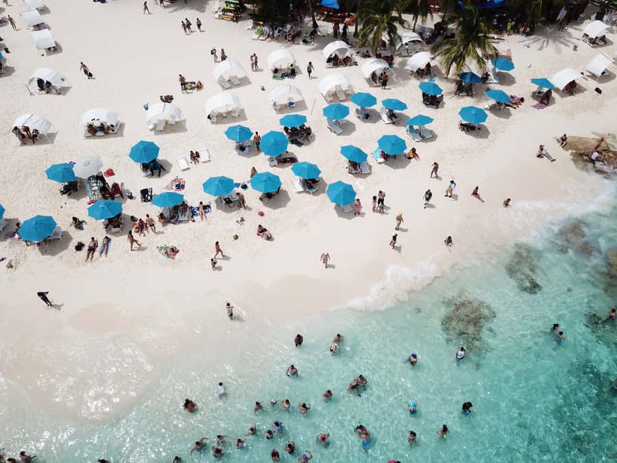 From San Andrés: Speedboat Tour to Johnny Cay Island - Swimming and snorkeling without a guide