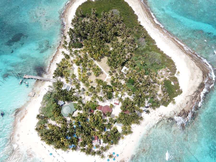 From San Andrés: Speedboat Tour to Johnny Cay Island - Who will enjoy this Johnny Cay outing