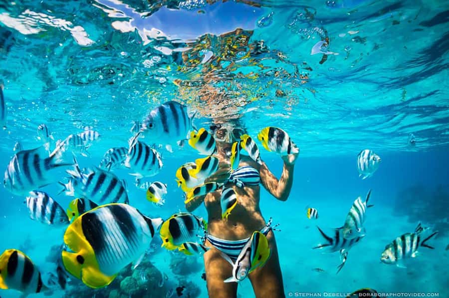From Santa Marta: Sisiguaca Beach Hike with Snorkeling - Starting at Parque de los Novios in Santa Marta