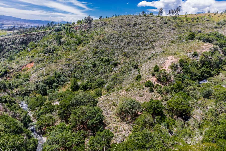 From Villa de Leyva: La Periquera Hiking Tour - From Villa de Leyva’s plaza to open Boyaca country