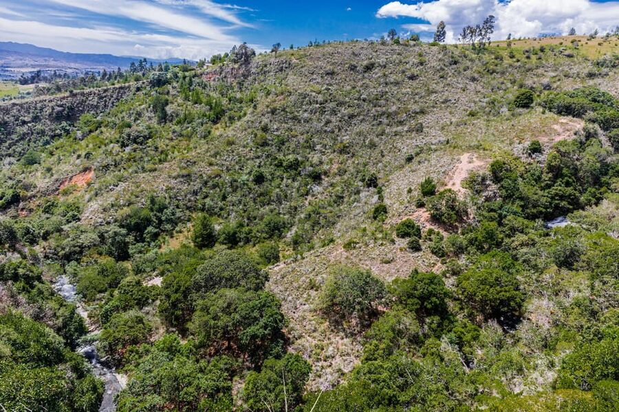 From Villa de Leyva: La Periquera Hiking Tour - Weather, clothing, and trail readiness