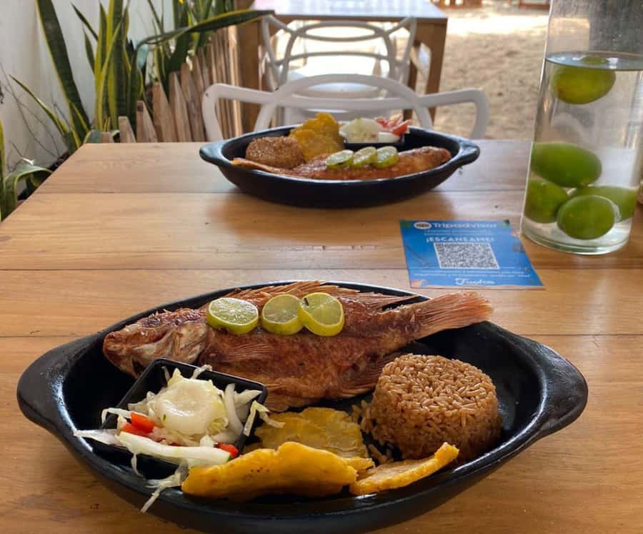 Full Day Barú island: Mangrove +Snorkel + Sunset + Plankton - What the $69 price really buys