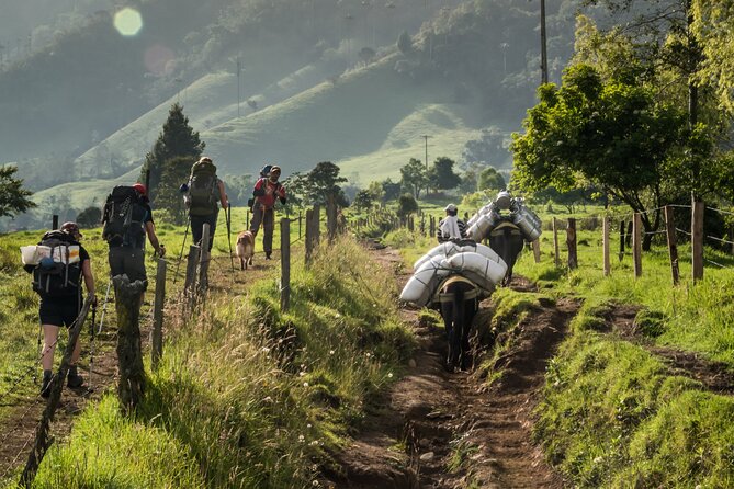 Full Day Climbing The Cocora Valley with Lunch - What the $127 price covers