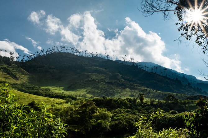 Full Day Climbing The Cocora Valley with Lunch - Acaime Nature Reserve and the hummingbird stop