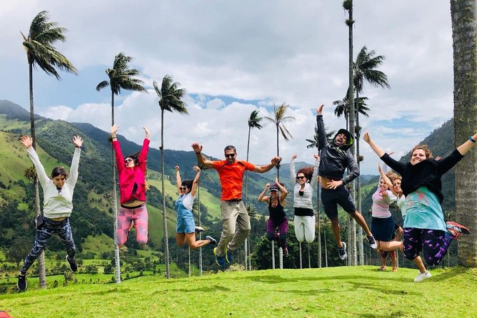 Full-Day Private Coffee Tour in Cocora Valley and Salento - Key points at a glance