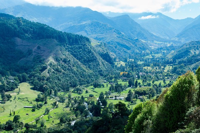 Full-Day Private Coffee Tour in Cocora Valley and Salento - Cocora Valley and its towering wax palms