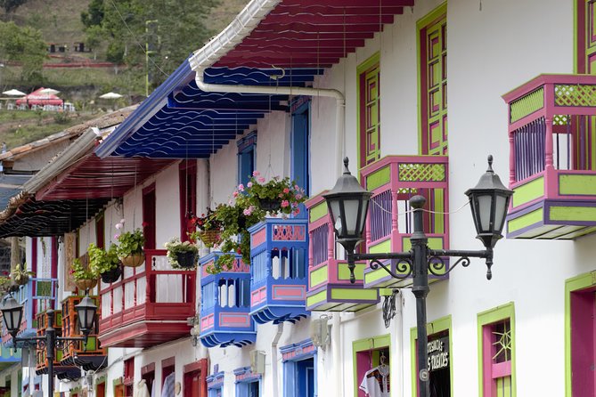 Full-Day Private Coffee Tour in Cocora Valley and Salento - Lunch, guides, and the value of the private setup