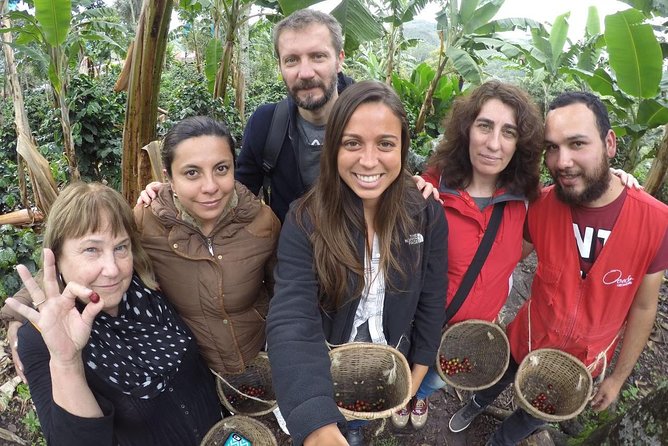 Full-Day Private Coffee Tour in Cocora Valley and Salento - Finca Buenos Aires and the route from bean to cup