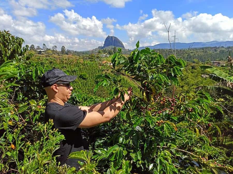Guatapé & Coffee Farm, all in one day - A market start in El Peñol