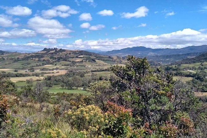 Guatavita Lake & Salt Cathedral Tour. - How good is the guiding?