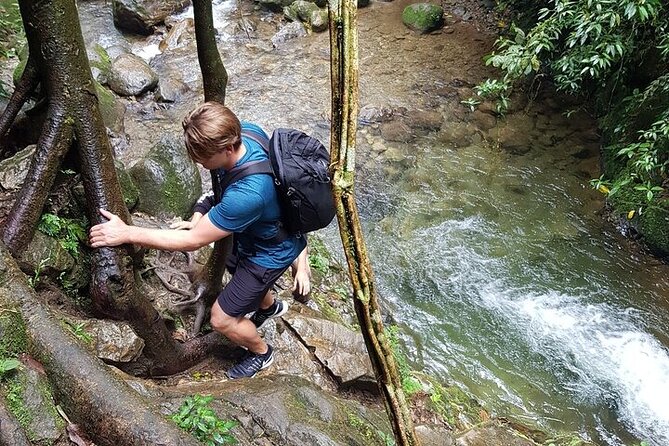 Half Day Waterfall Tour from Medellin - The 2.5-Hour Walk to Chorro de las Campanas
