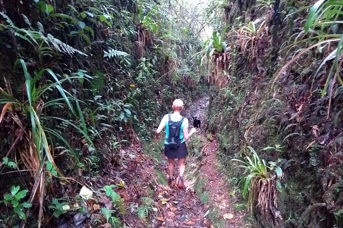 Hiking Mountains and Magical Forests - Key points to know before you go