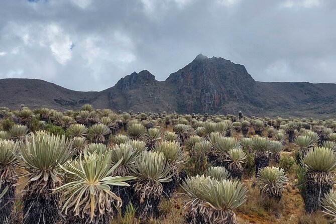 Hiking to the largest paramo on earth : Sumapaz - Why Sumapaz feels unlike any other day trip from Bogotá