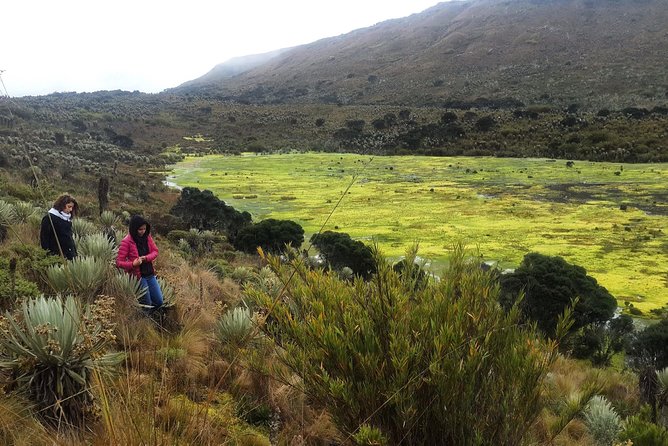 Hiking to the largest paramo on earth : Sumapaz - Breakfast at a rural restaurant