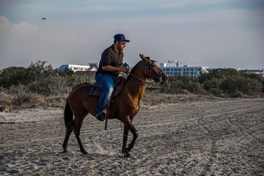 HORSE TOUR IN CARTAGENA BEACH - Should you book the Manzanillo del Mar horse tour?