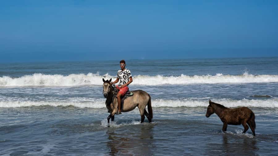 HORSE TOUR IN CARTAGENA BEACH - Guides who stay close