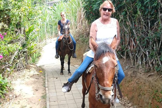 Horseback Riding Adventure from Medellin - Rionegro views and the Negro River gorge
