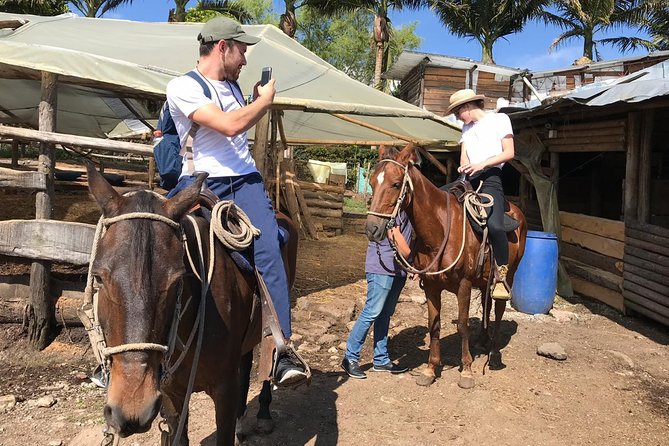 Horseback Riding Adventure from Medellin - How the $137.75 price measures up
