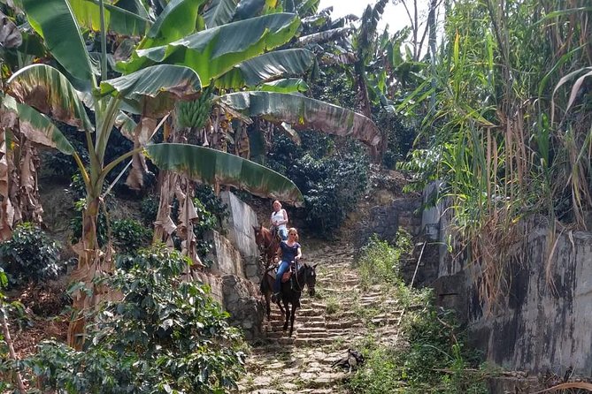 Horseback Riding Adventure from Medellin - Holiday bookings and changing trail conditions