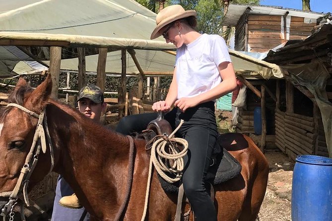 Horseback Riding Adventure from Medellin - Meeting your horse at the Llanogrande ranch