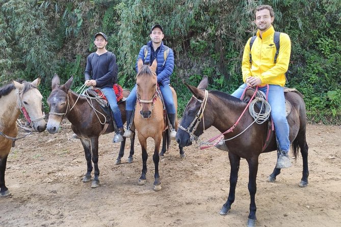 Horseback Riding from Guadalupe to Monserrate Private Day-Tour - Guadalupe Sanctuary and the first views of Bogotá