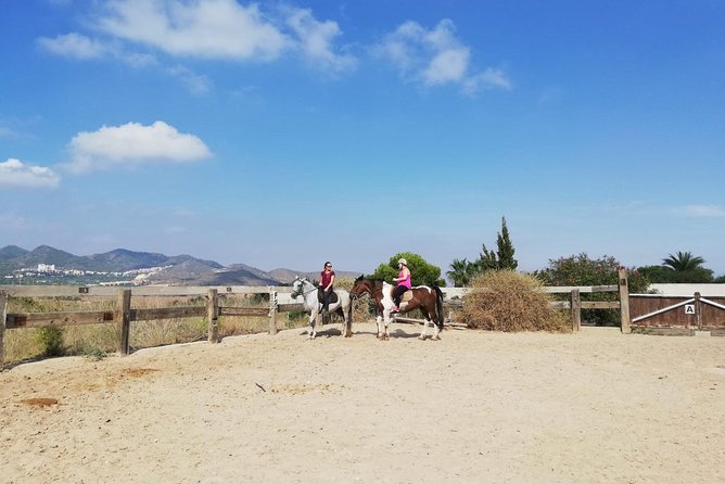 Horseback Riding in Cartagena (Spain) - What the price includes in practical terms