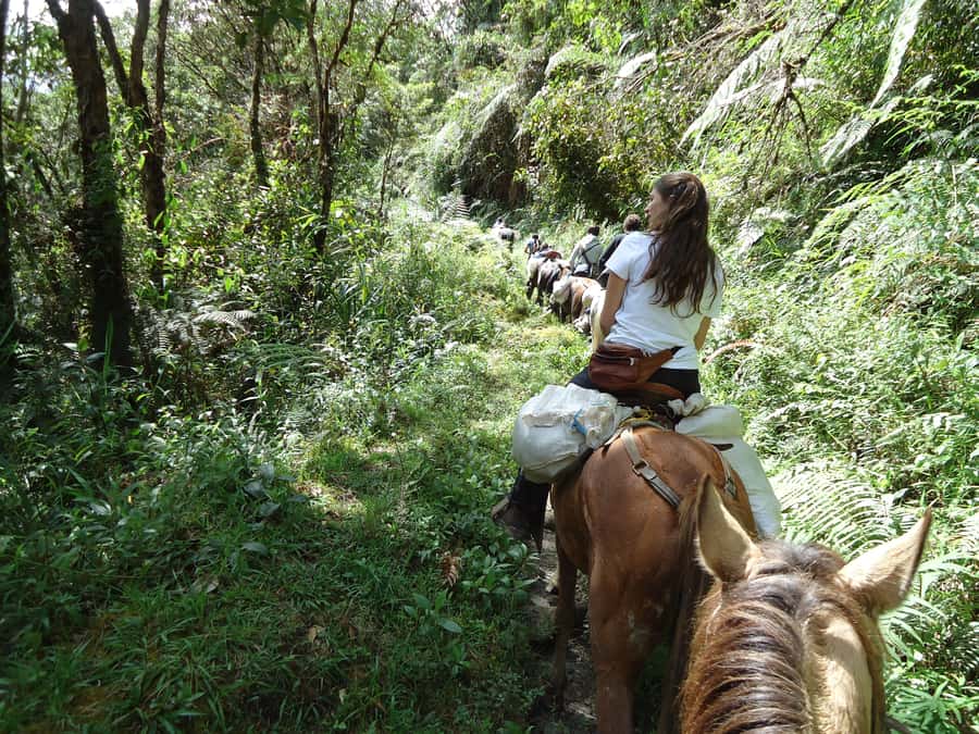 Horseback Riding Tour and visit to Tablón, Chaquira, Pelota - Quick reasons to choose this ride
