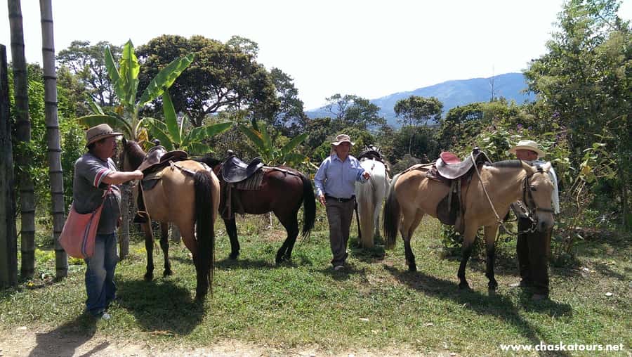 Horseback Riding Tour and visit to Tablón, Chaquira, Pelota - Why horseback riding works well in San Agustín