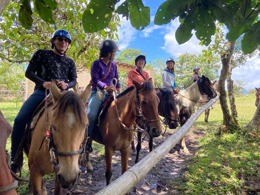 Horseback Riding Tour and visit to Tablón, Chaquira, Pelota - The horses and riding pace