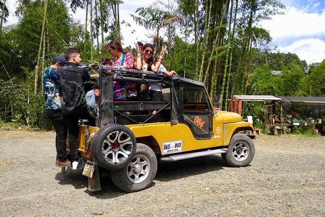 Howler Monkey Tour On The Barba Reserve - Bremen Of Philandia - The cascade, lemonade, and lunch