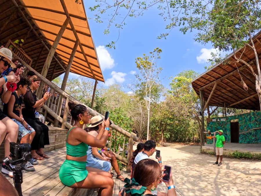 Isla Barú: Beach Club Access and Tour of the National Aviary - Key points at a glance