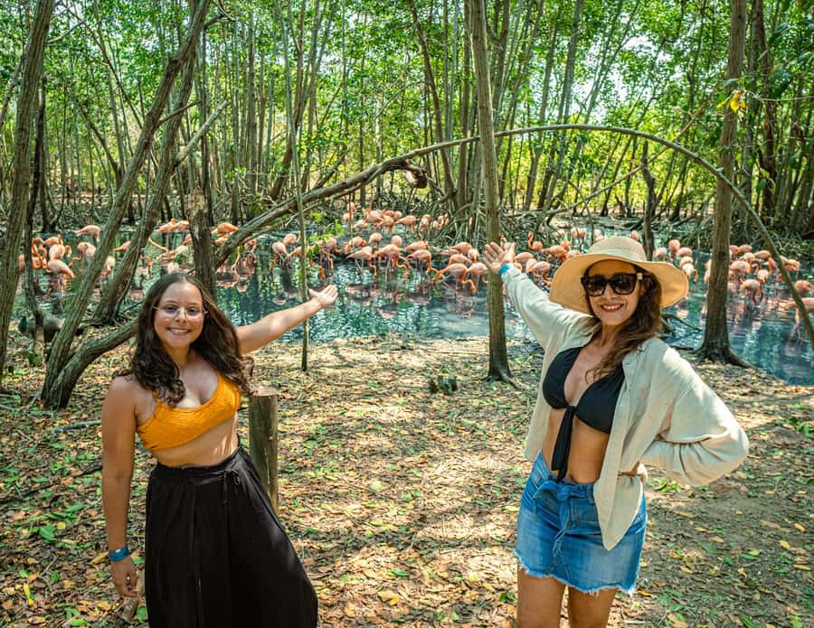 Isla Barú: Beach Club Access and Tour of the National Aviary - Why the aviary makes this Barú day different