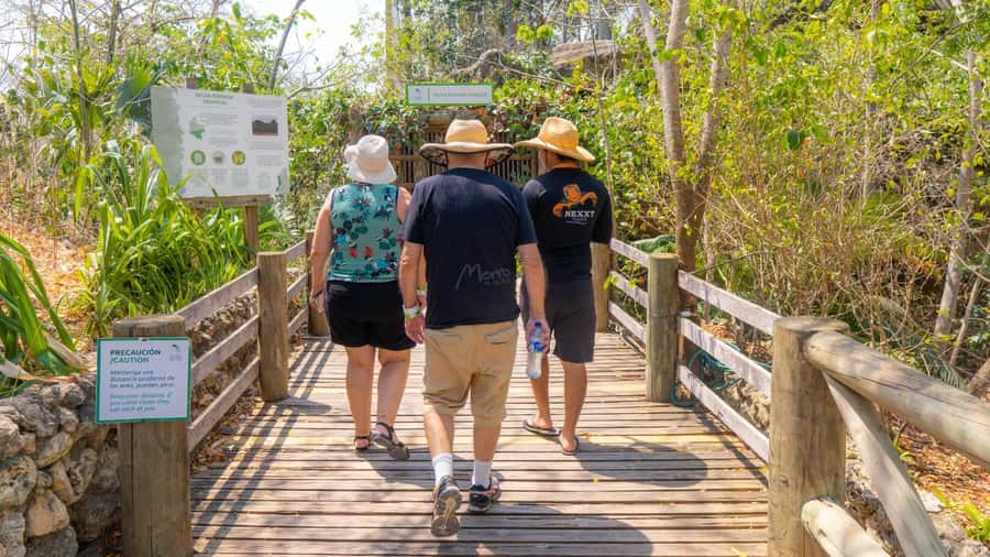 Isla Barú: Beach Club Access and Tour of the National Aviary - Three hours at Playa Blanca