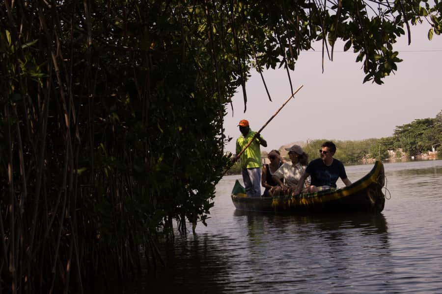 La Boquilla: 3-Hour Canoe Tour through the Mangroves - Why La Boquilla makes a worthwhile half-day outing
