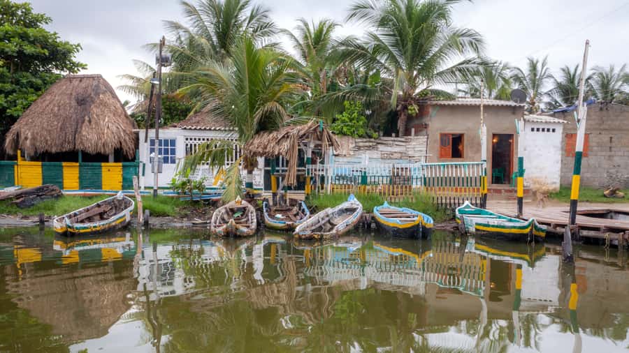 La Boquilla: 3-Hour Canoe Tour through the Mangroves - Inside the mangrove tunnels
