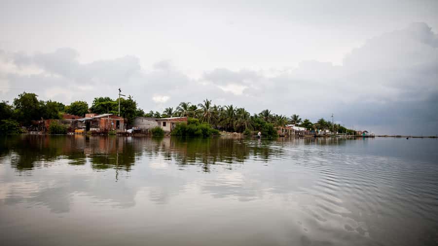 La Boquilla: 3-Hour Canoe Tour through the Mangroves - Comfort, safety, and what to bring