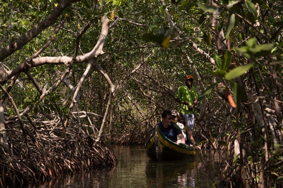 La Boquilla: 3-Hour Canoe Tour through the Mangroves - The ride from Cartagena to the fishing village