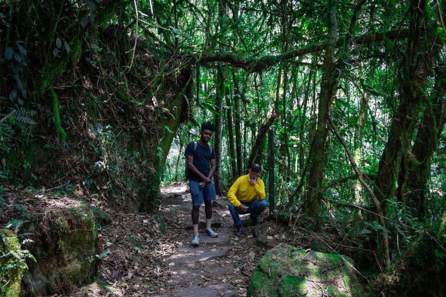 La Chorrera and Chiflon Waterfalls Private Hike Tour - Leaving Bogotá for the Mountains of the Moon