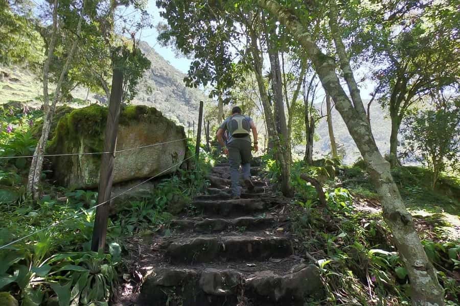 La Chorrera and Chiflon Waterfalls Private Hike Tour - What the $109 price really covers