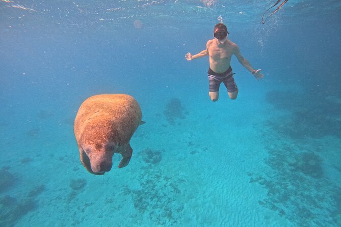 Let's snorkel Hol Chan the Best Marine Reserve in Belize - Key points at a glance