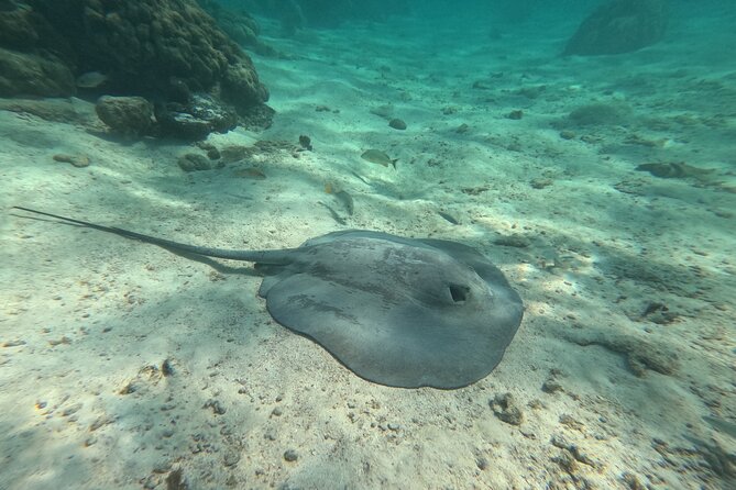 Let's snorkel Hol Chan the Best Marine Reserve in Belize - The sunken barge is small but full of hiding places