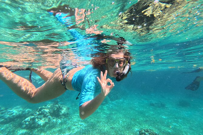 Let's snorkel Hol Chan the Best Marine Reserve in Belize - Shark Ray Alley brings you close to nurse sharks