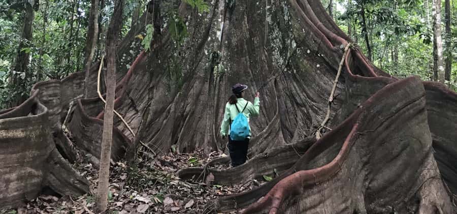Leticia: Amazing Three Day Jungle Tours - From Leticia to Puerto Nariño by River