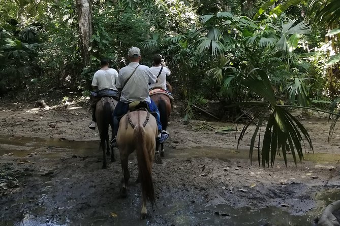 Los Naranjos Beach Horseback Riding Tayrona Park. - Riding from Tayrona Forest to Los Naranjos