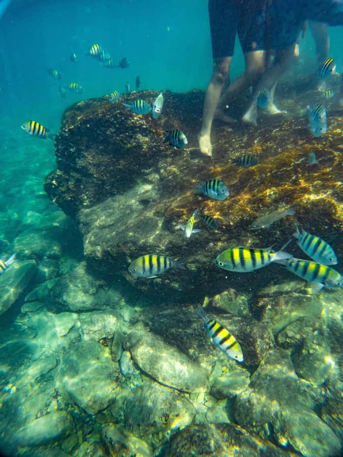 Magdalena: Tayrona Park Cruise with Snorkeling & Beaches - Starting at Santa Marta’s International Marina