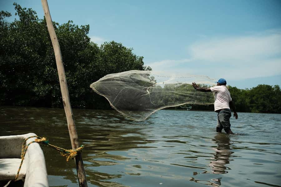 Mangroves, cultural fishing, black heritage town and lunch - Leaving Cartagena for La Boquilla