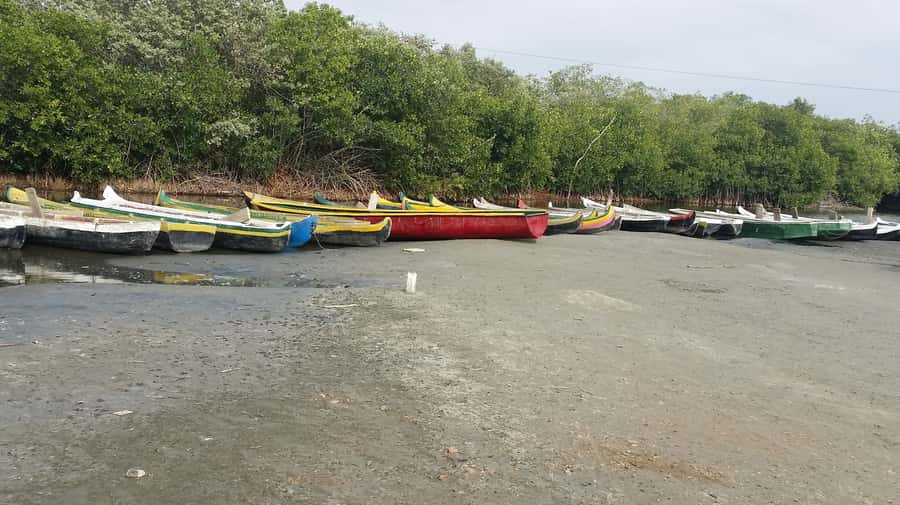 Mangroves, cultural fishing, black heritage town and lunch - What the Private Group Format Means