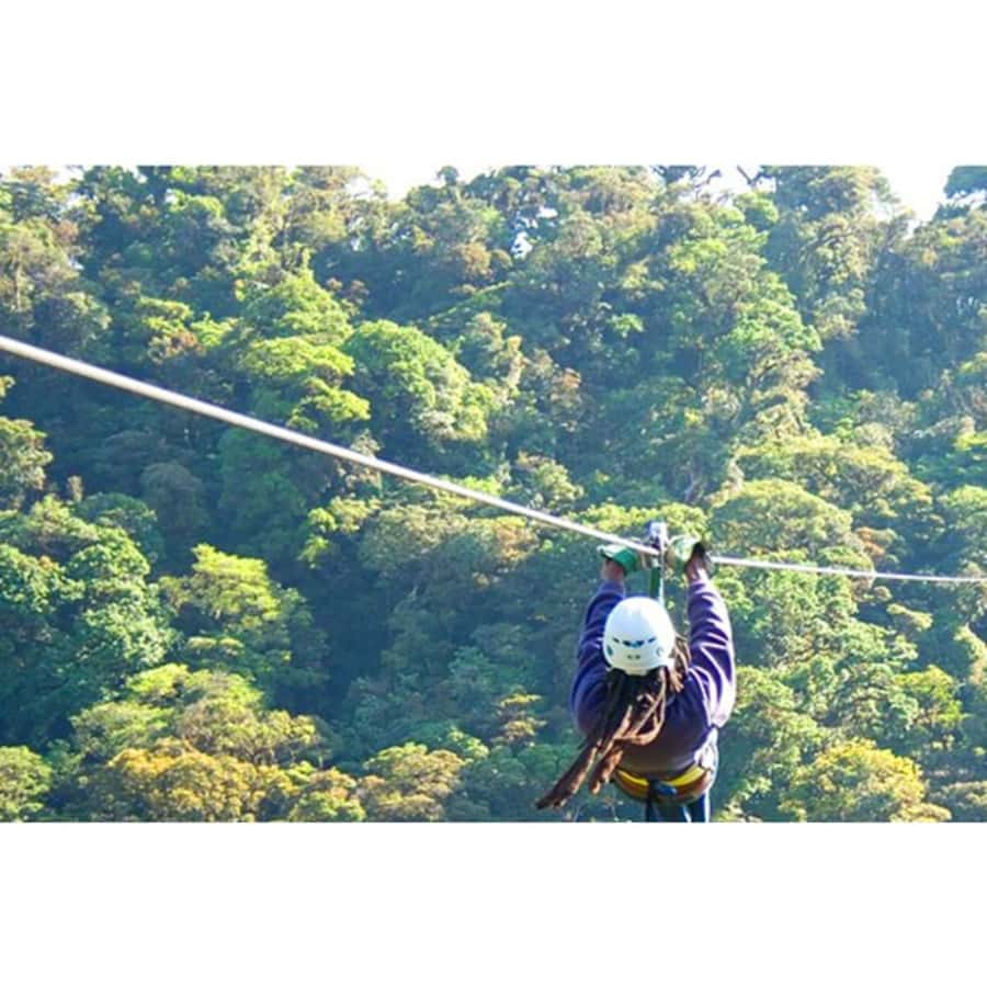 Medellin: 4-Hour Zip-Line Adventure - Who should book this experience