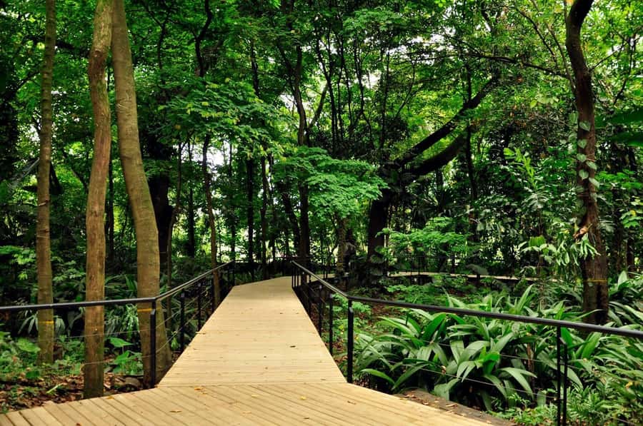 Medellín: Botanical Garden and Arvi Park City Tour - Key points to know before booking